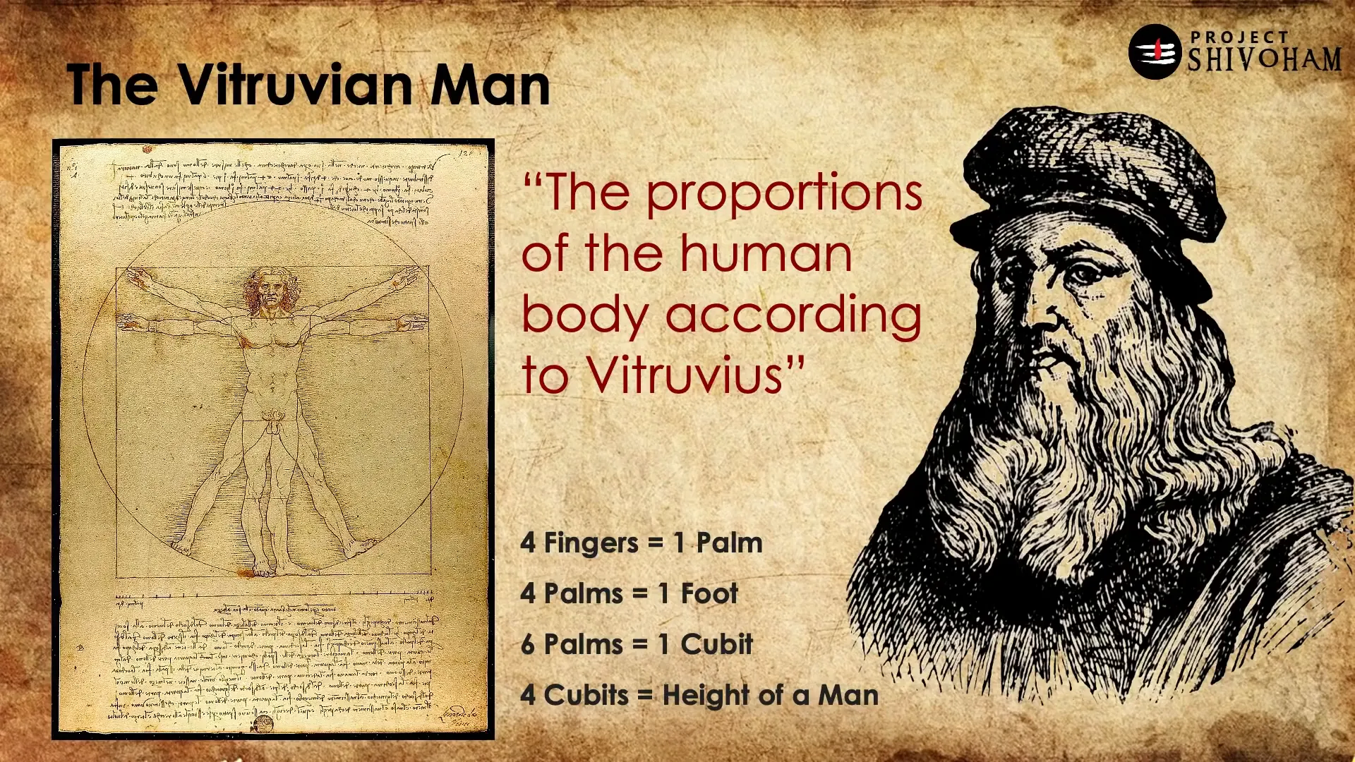 The Vitruvian Man sketch