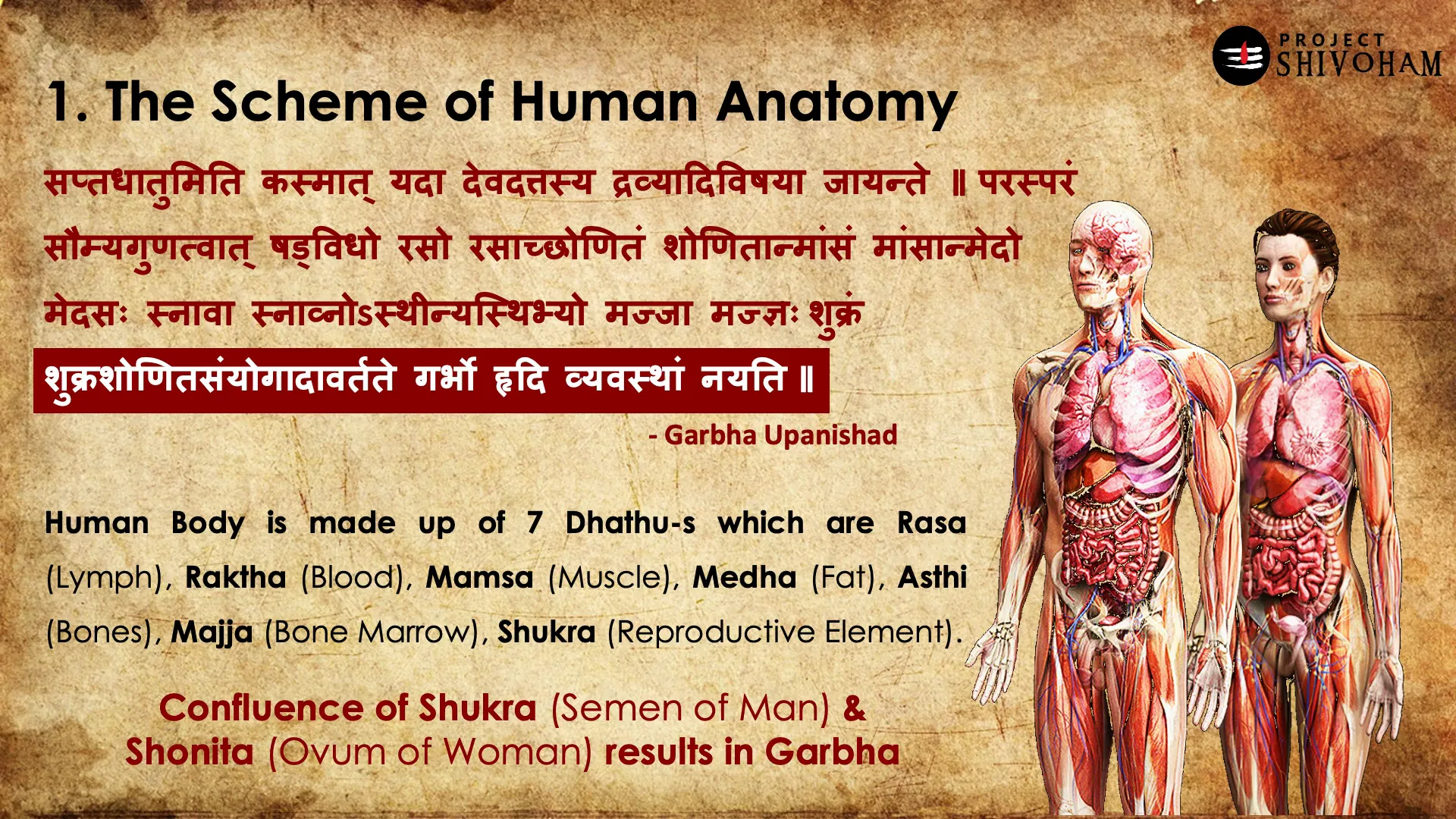 Confluence of Shukra and Shonita