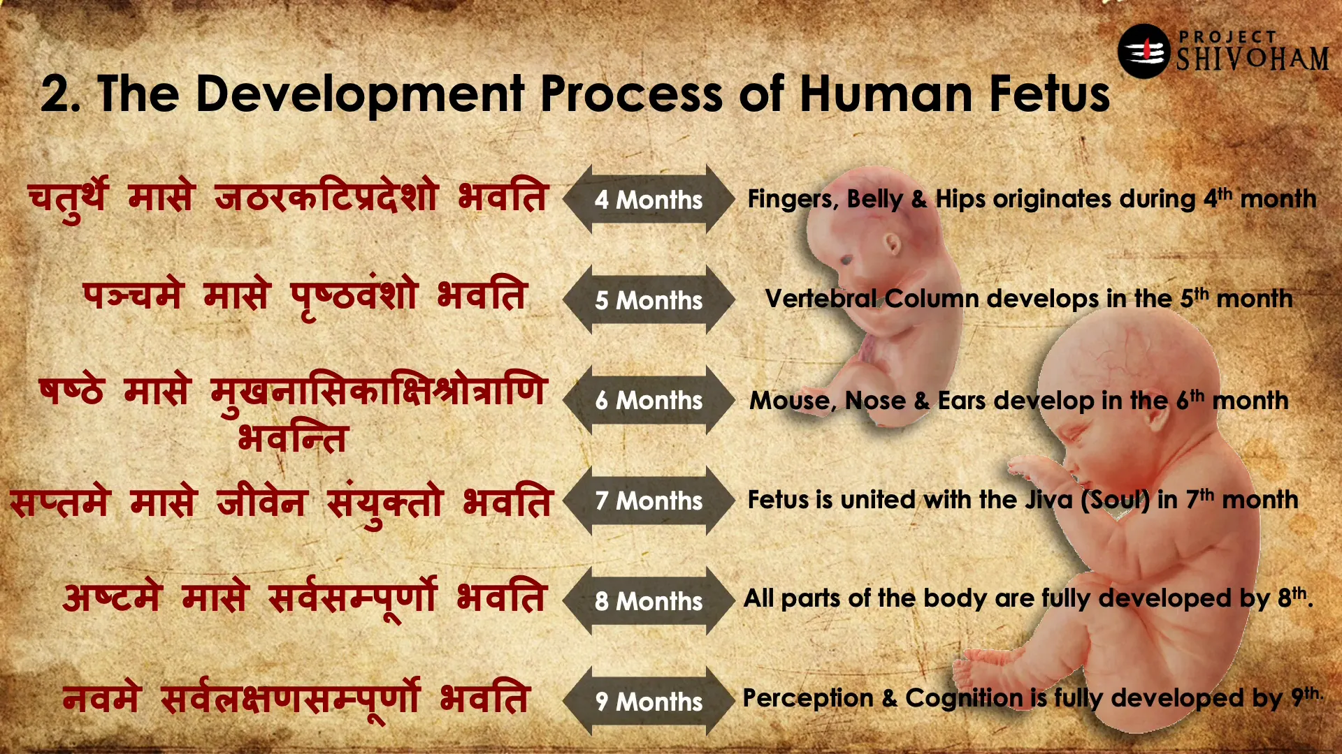 Scientific validation of fetal development