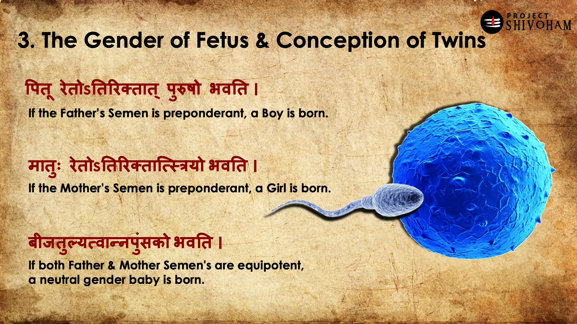Gender determination in Garbha Upanishad