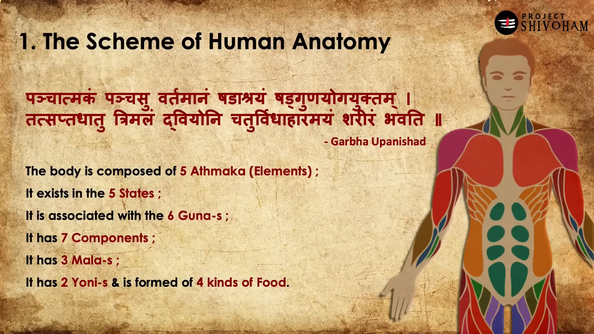 Five Elements of the Body