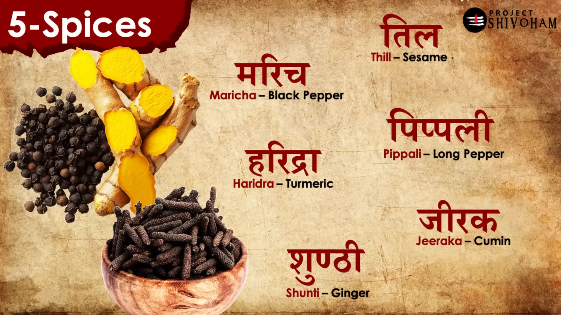 Spices commonly used in ancient Indian cuisine