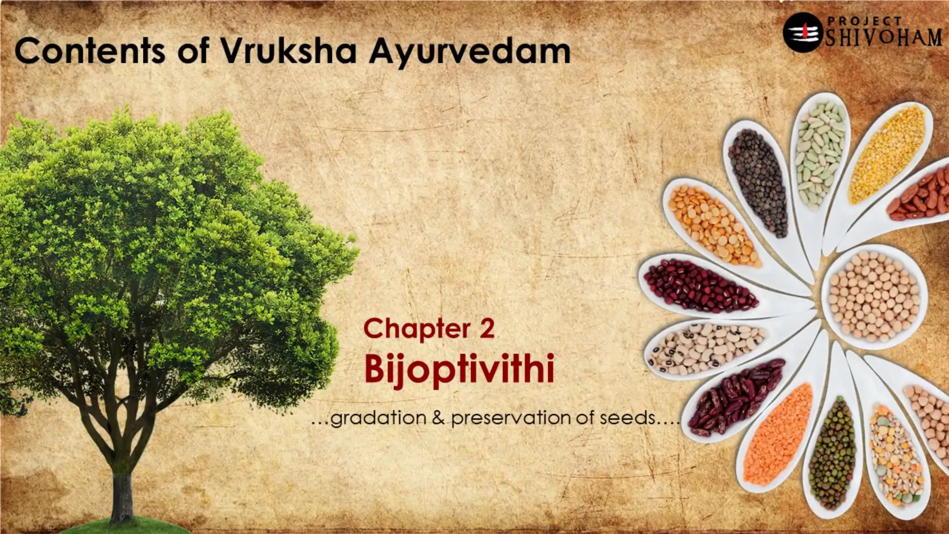 Bijot Patthiviti chapter on seed grading and preservation