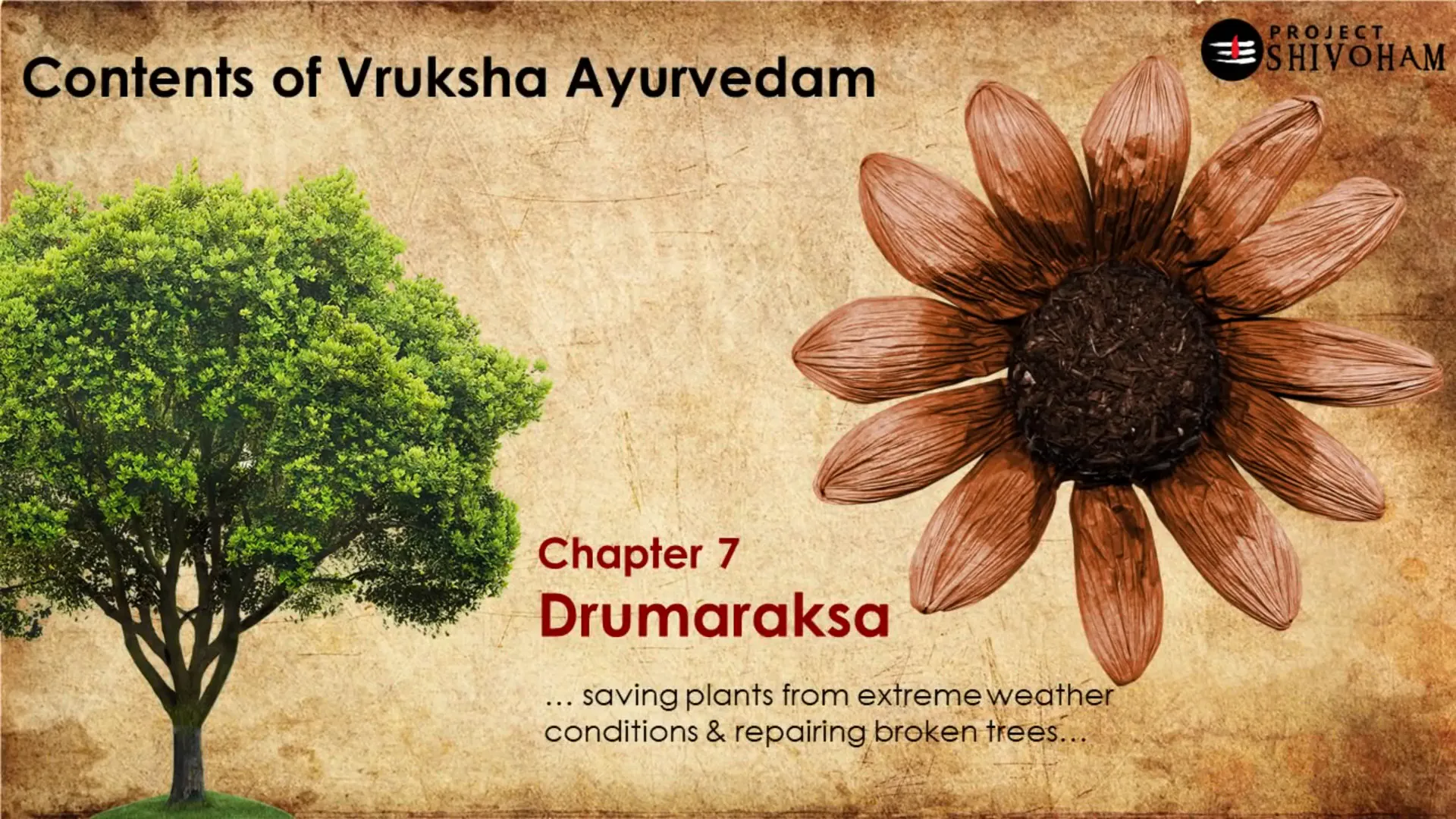 Dhruva Maraksha chapter on protecting and repairing trees
