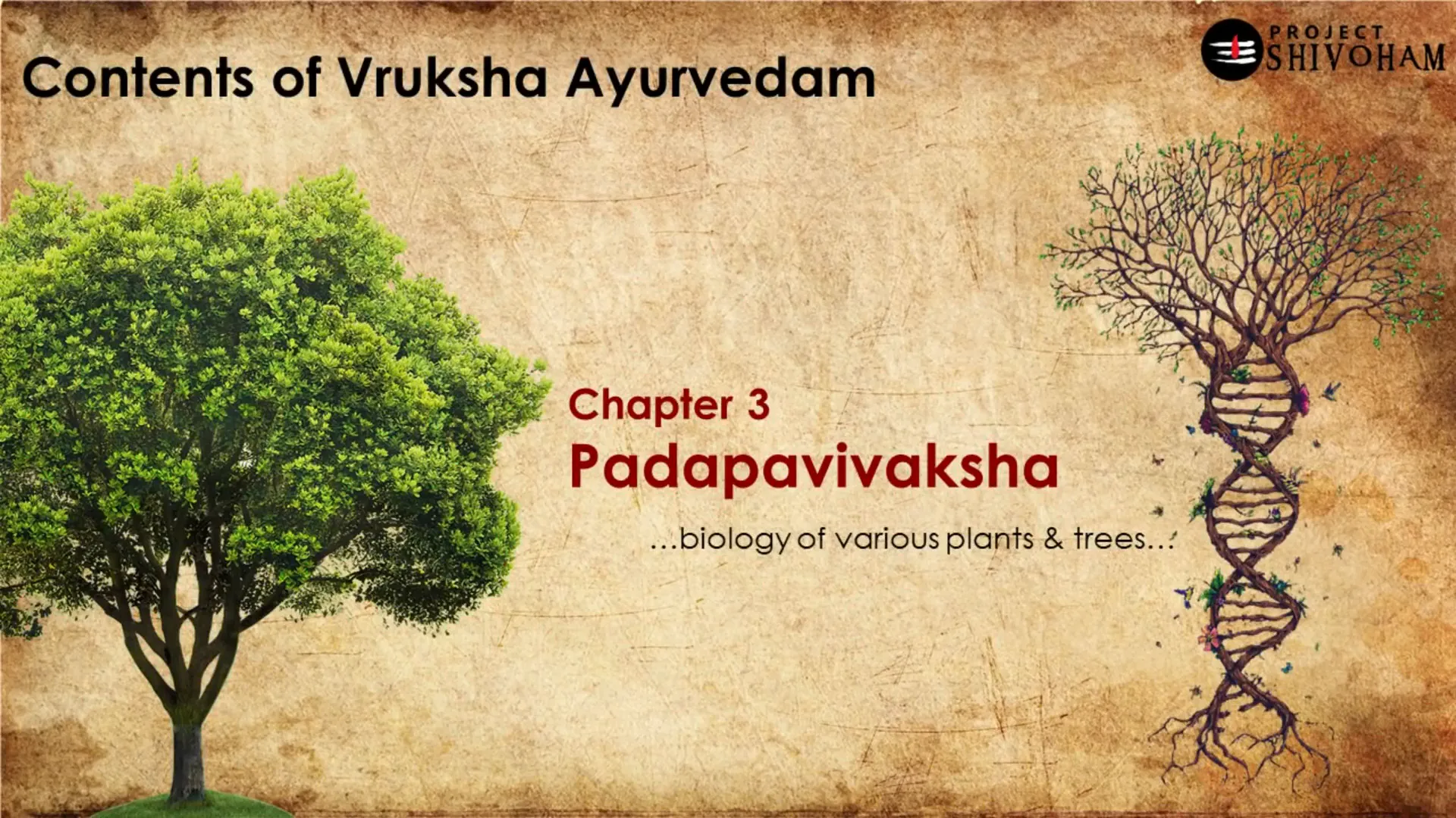 Padapa Vivaksha chapter on plant biology and anatomy